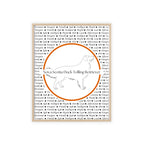 Poster i träram (tavla) med Nova Scotia Duck Tolling Retriever-motiv