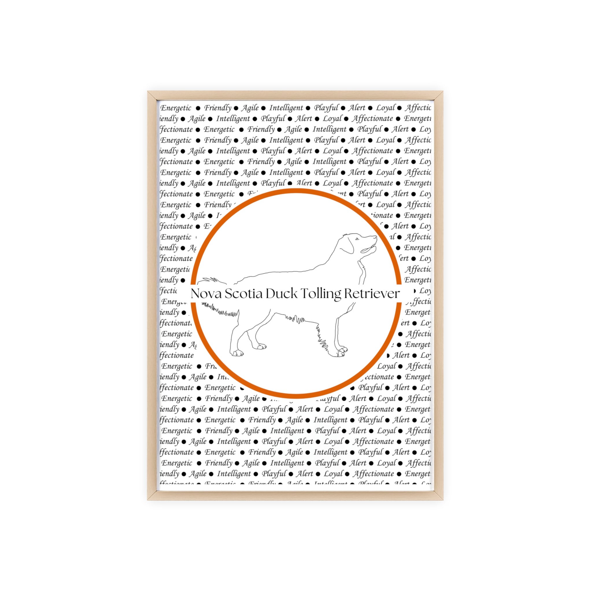 Poster i träram (tavla) med Nova Scotia Duck Tolling Retriever-motiv