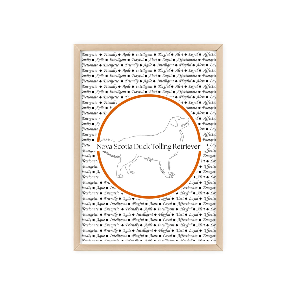 Poster i träram (tavla) med Nova Scotia Duck Tolling Retriever-motiv