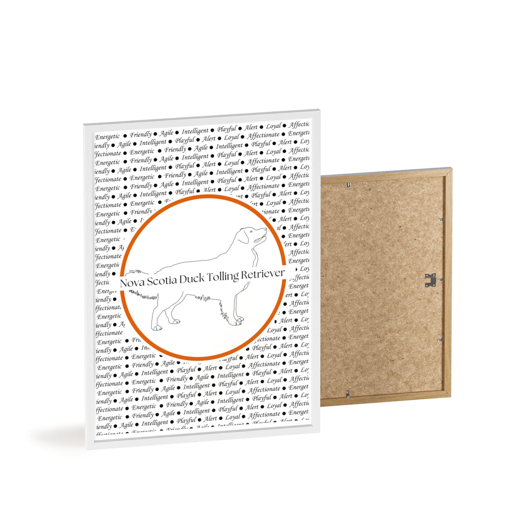 Poster i träram (tavla) med Nova Scotia Duck Tolling Retriever-motiv