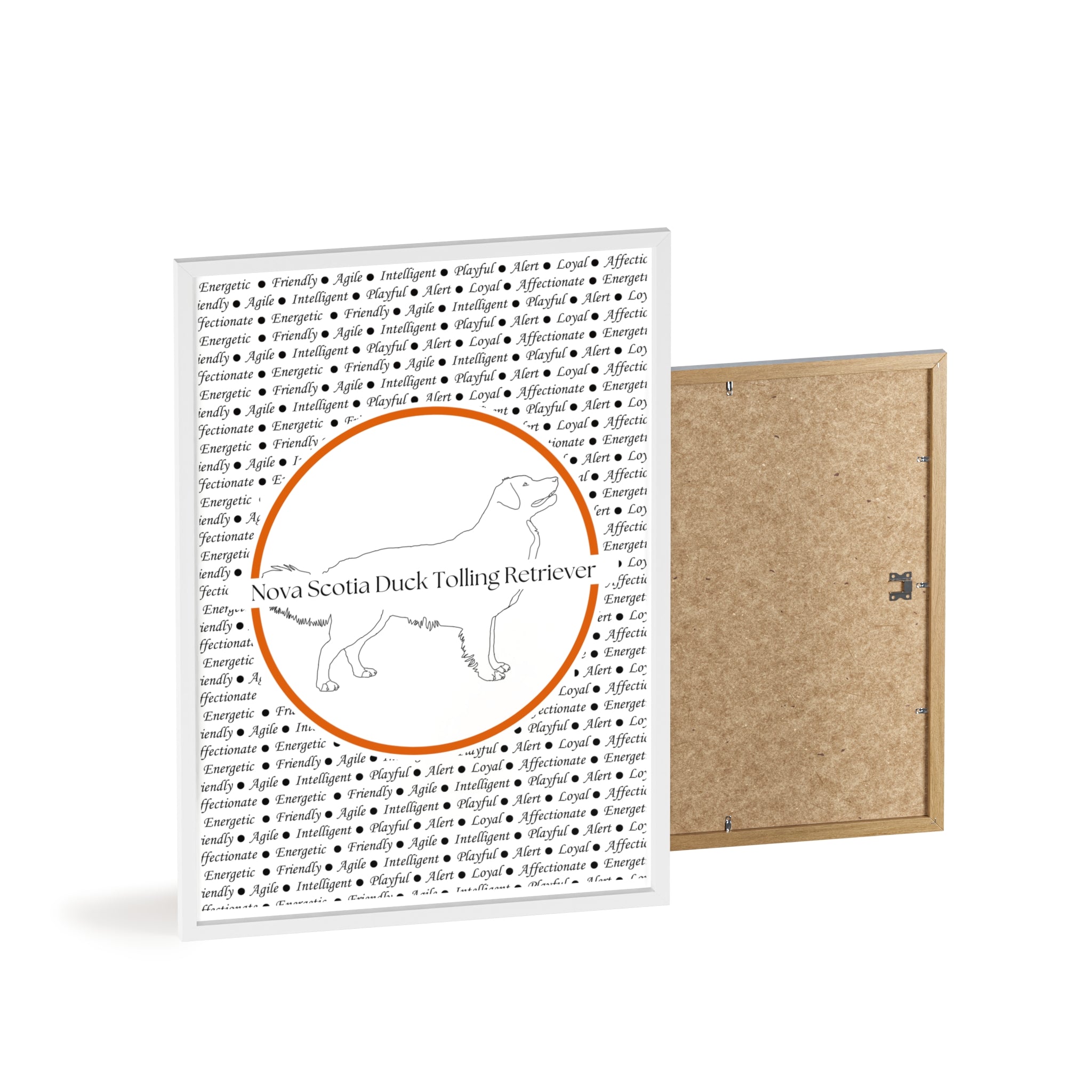 Poster i träram (tavla) med Nova Scotia Duck Tolling Retriever-motiv