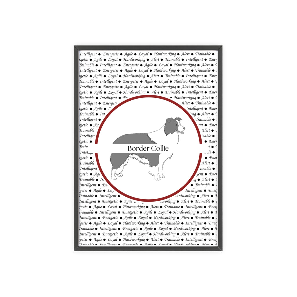 Poster i träram (tavla) med Border Collie-motiv