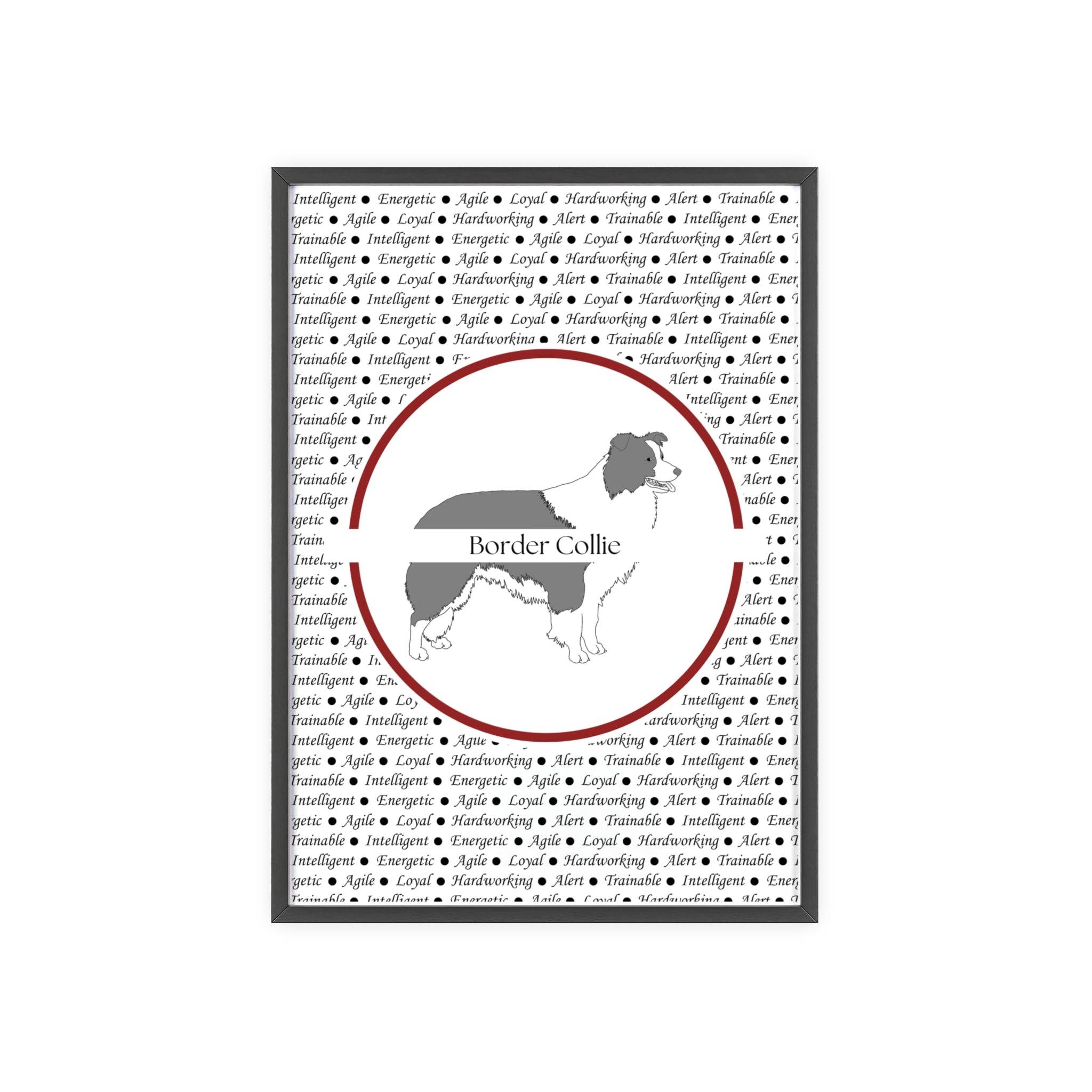 Poster i träram (tavla) med Border Collie-motiv