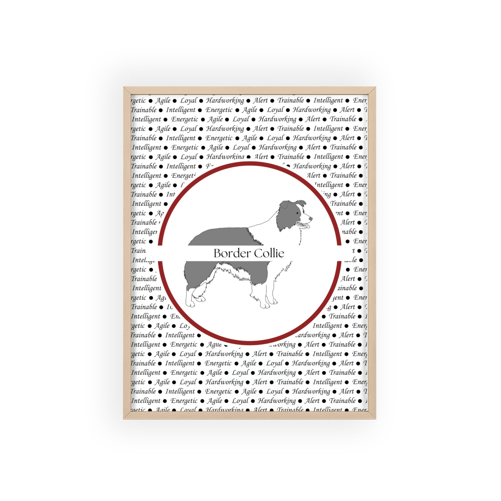 Poster i träram (tavla) med Border Collie-motiv