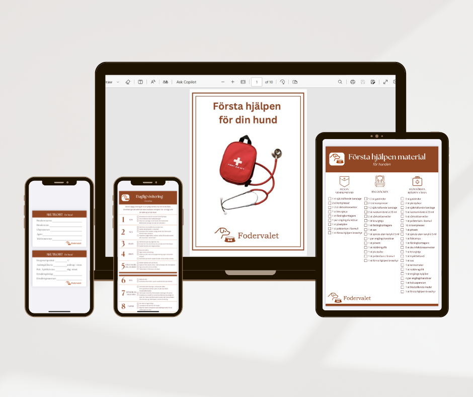Digitalt paket: Första Hjälpen Startpaket – Hund