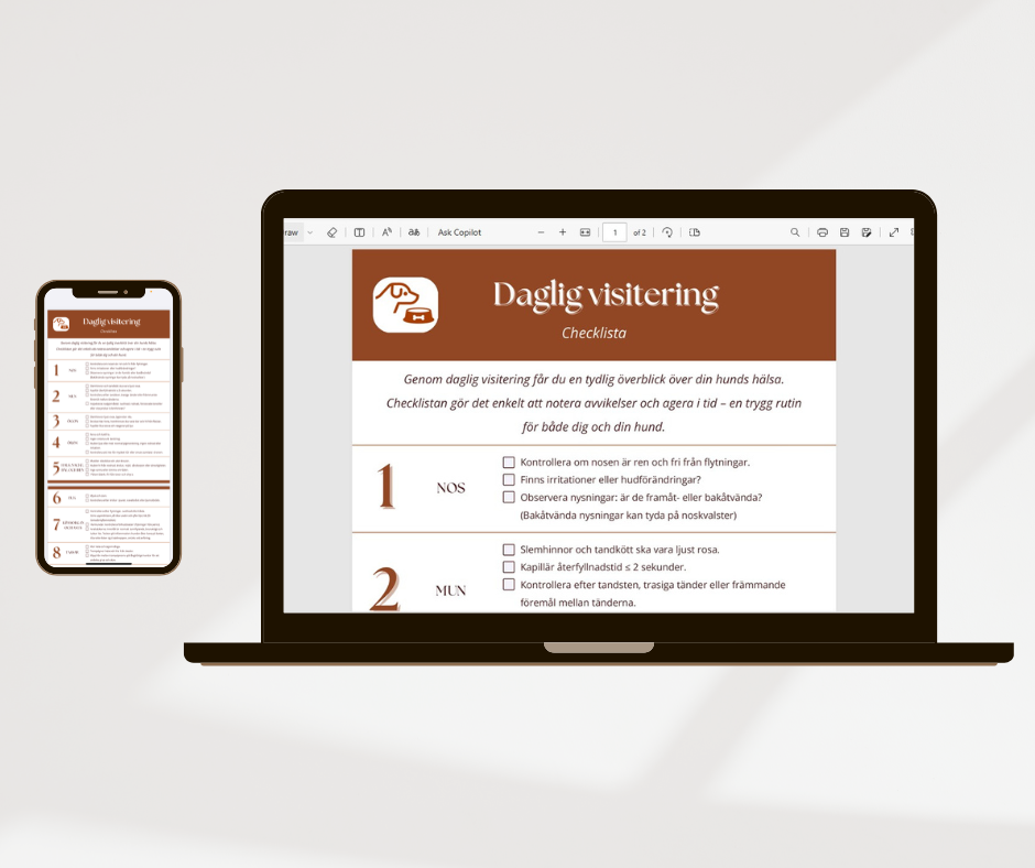 Checklista - Daglig visitering