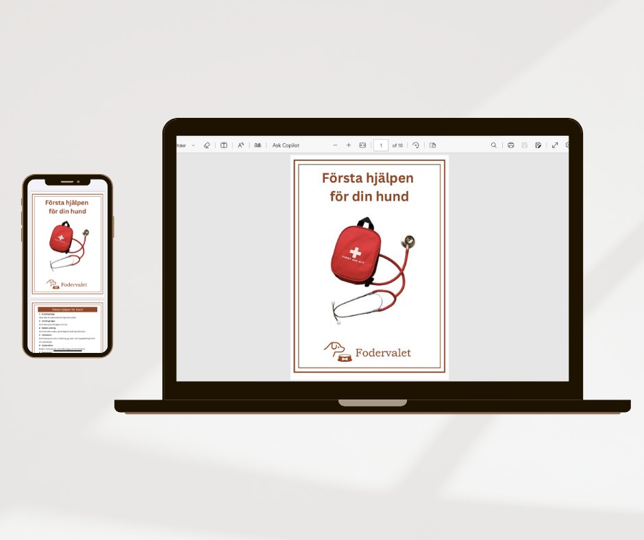 Digitalt paket: Första Hjälpen Startpaket – Hund