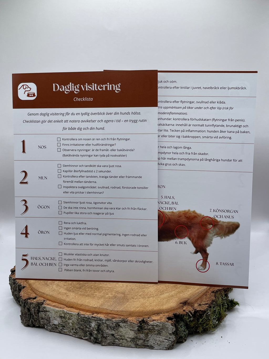 Checklista - Daglig visitering