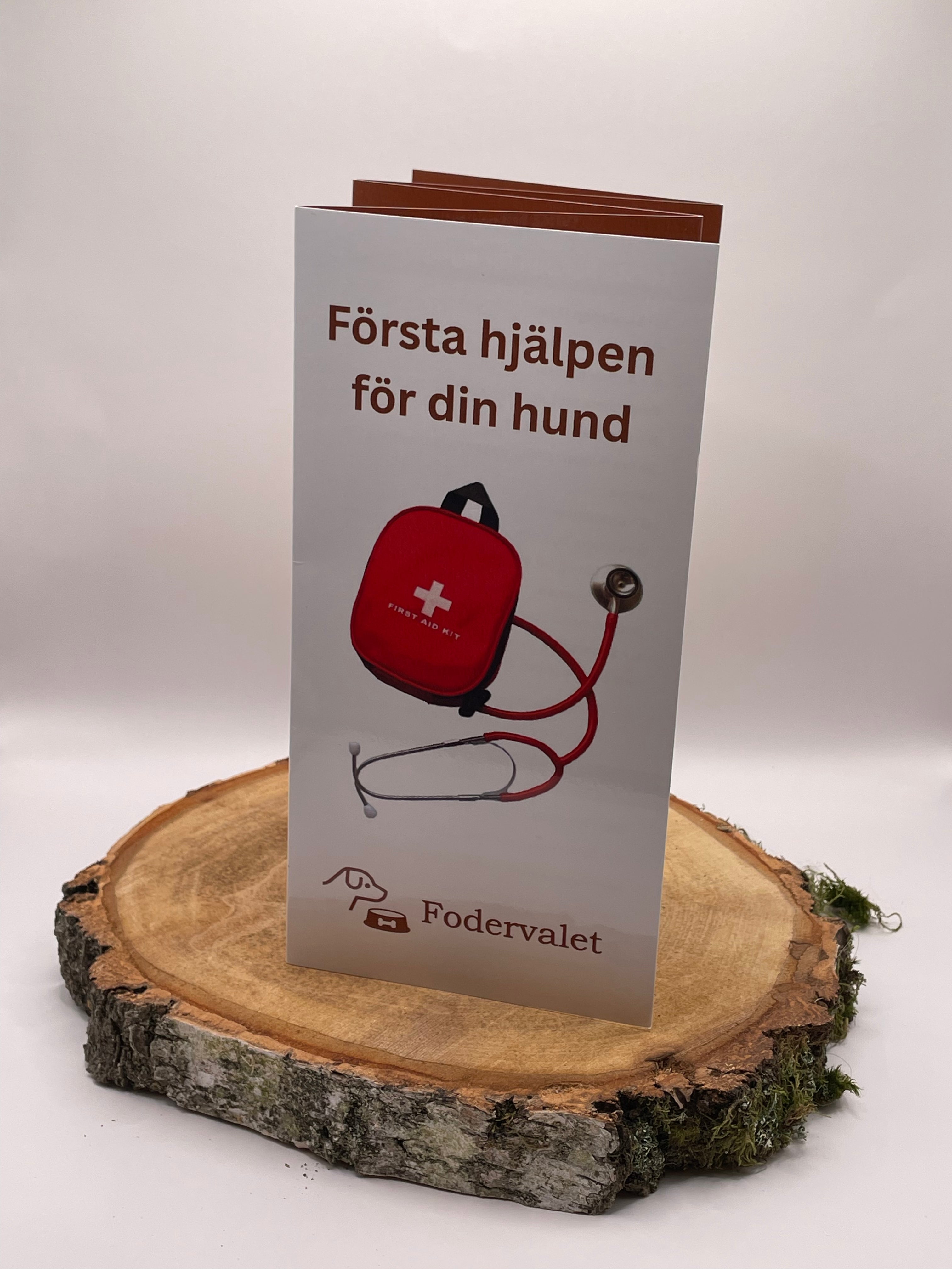 Komplett paket: Första Hjälpen Total – Hund