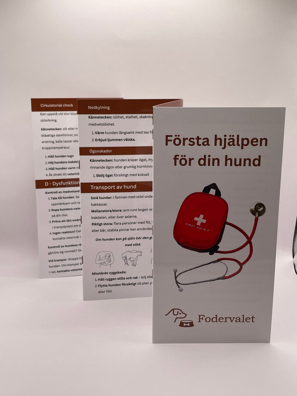 Första hjälpen broschyr
