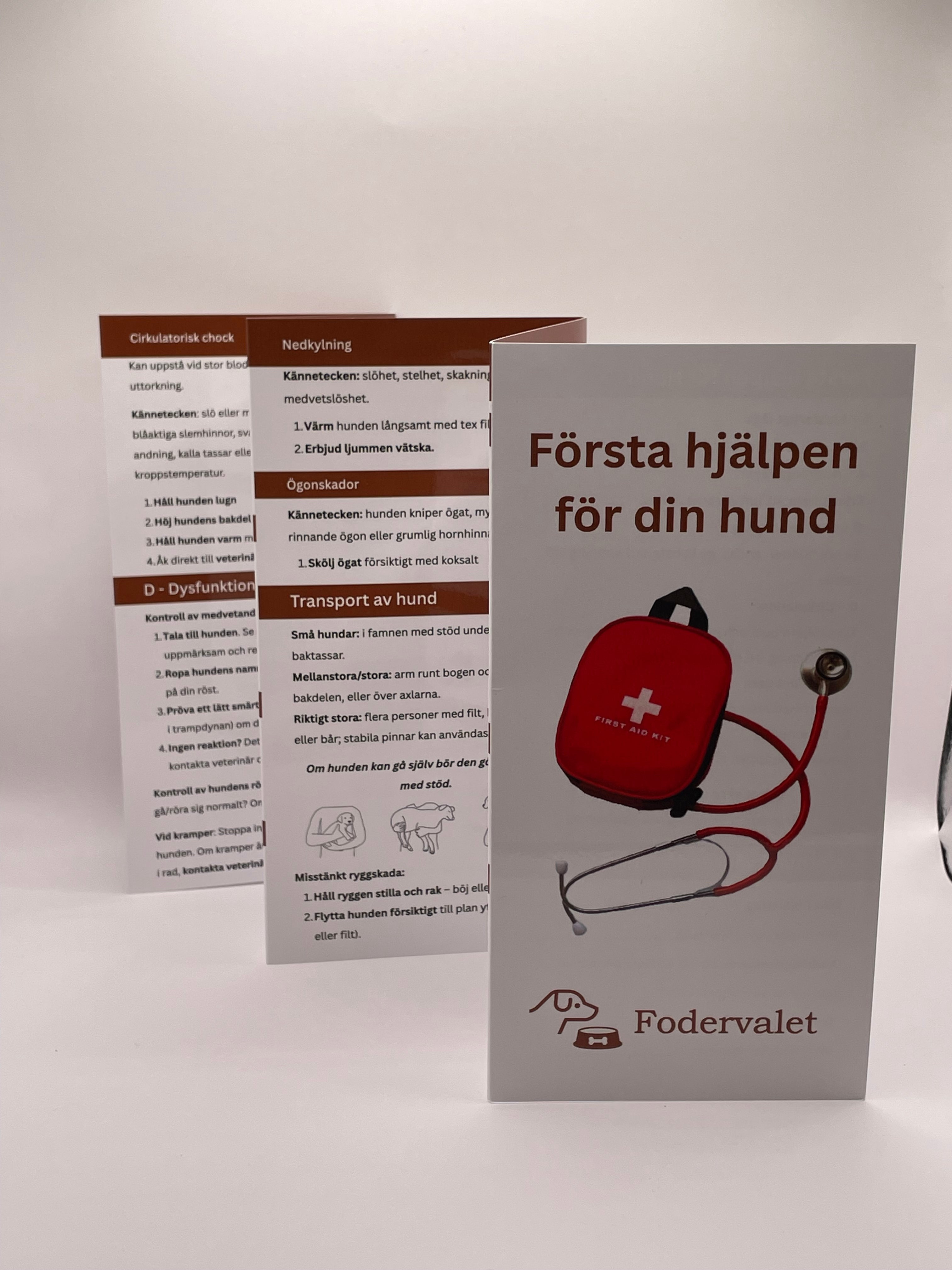 Första hjälpen broschyr